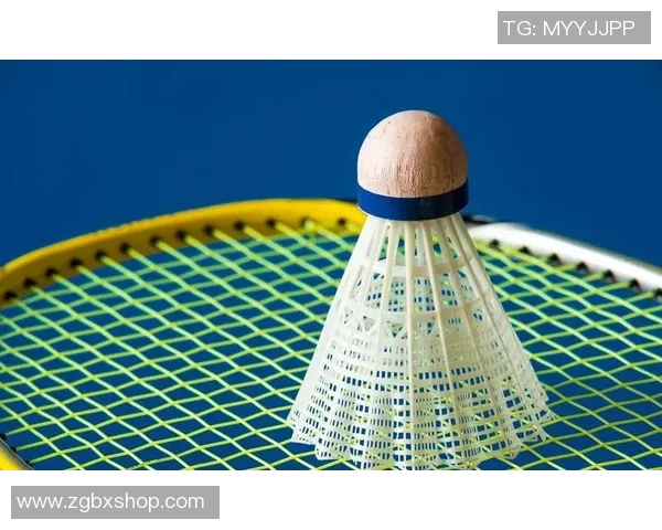 西安羽毛球队节奏对比深度解析与战术演变探讨